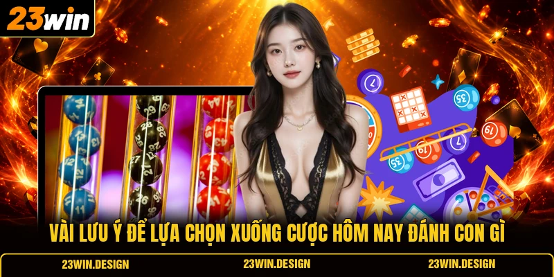 Vài lưu ý để lựa chọn xuống cược hôm nay đánh con gì